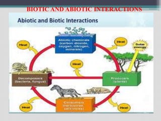 BIOTIC AND ABIOTIC INTERACTIONS
 