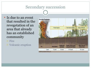 Secondary succession Is due to an event that resulted in the revegetation of an area that already has an established community Fire Volcanic eruption 