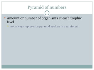 Pyramid of numbers Amount or number of organisms at each trophic level not always represent a pyramid such as in a rainforest 