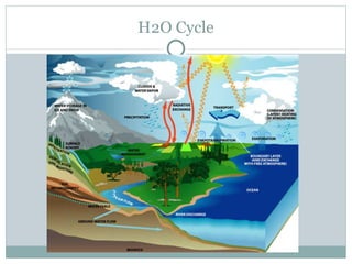 H2O Cycle 