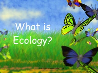 What is Ecology? copyright cmassengale 