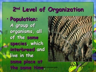 2 nd  Level of Organization Population: A group of organisms, all of the  same species , which  interbreed  and live in the  same place at the same time . copyright cmassengale 