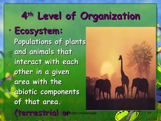 4 th  Level of Organization Ecosystem:   Populations of plants and animals that interact with each other in a given area with the abiotic components of that area.  (terrestrial or aquatic) copyright cmassengale 