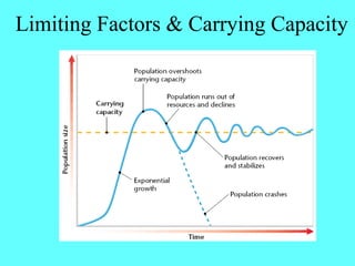 Limiting Factors & Carrying Capacity
 