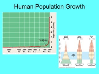 Human Population Growth
 
