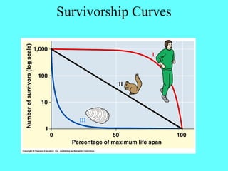 Survivorship Curves
 