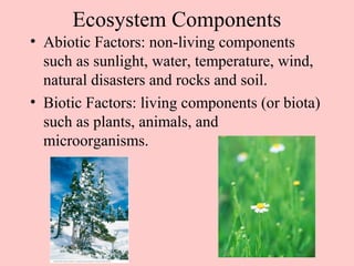Ecosystem Components
• Abiotic Factors: non-living components
  such as sunlight, water, temperature, wind,
  natural disasters and rocks and soil.
• Biotic Factors: living components (or biota)
  such as plants, animals, and
  microorganisms.
 