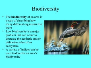 Biodiversity
• The biodiversity of an area is
  a way of describing how
  many different organisms live
  there
• Low biodiversity is a major
  problem that can occur to
  decrease the aesthetic and/or
  utilitarian value of an
  ecosystem
• A variety of indices can be
  used to describe an area’s
  biodiversity
 