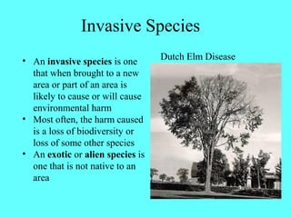 Invasive Species
• An invasive species is one      Dutch Elm Disease
  that when brought to a new
  area or part of an area is
  likely to cause or will cause
  environmental harm
• Most often, the harm caused
  is a loss of biodiversity or
  loss of some other species
• An exotic or alien species is
  one that is not native to an
  area
 