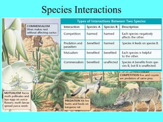 Species Interactions
 