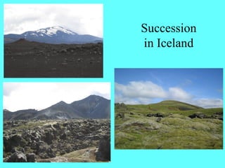 Succession
in Iceland
 