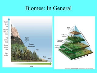 Biomes: In General
 
