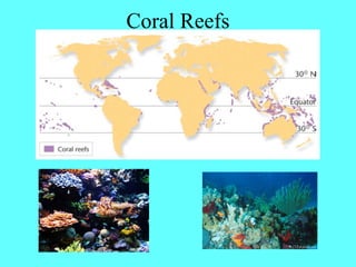 Coral Reefs
 