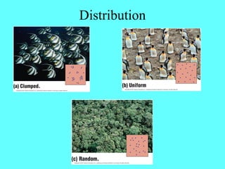 Distribution
 