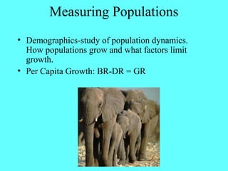 Measuring Populations
• Demographics-study of population dynamics.
  How populations grow and what factors limit
  growth.
• Per Capita Growth: BR-DR = GR
 