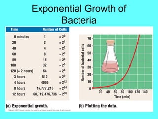 Exponential Growth of
     Bacteria
 