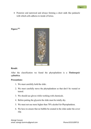 • Posterior end narrowed and always forming a short stalk like peduncle
with which cells adheres to inside of lorica.
Figure:[02]
Result:
After the classification we found the phytoplankton is a Tintinnopsis
cylindrica.
Precautions:
1. We must carefully hold the slide .
2. We must carefully move the phytoplankton so that don’t be wasted or
teared.
3. We should use gloves while working with chemicals.
4. Before putting the glycerin the slide must be totally dry.
5. We must not use more higher than 70% alcohol for Phytoplankton.
6. We have to ensure that no bubble be created in the slide under the cover
slip.
Alamgir hossain
email: alamgir.bsmrmu@gmail.com Phone:01521209713
Page-2
 