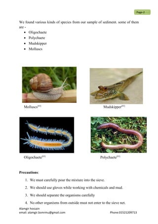 We found various kinds of species from our sample of sediment. some of them
are -
• Oligochaete
• Polychaete
• Mudskipper
• Molluscs
Molluscs[03]
Mudskipper[03]
Oligochaete[03]
Polychaete[03]
Precautions:
1. We must carefully pour the mixture into the sieve.
2. We should use gloves while working with chemicals and mud.
3. We should separate the organisms carefully
4. No other organisms from outside must not enter to the sieve net.
Alamgir hossain
email: alamgir.bsmrmu@gmail.com Phone:01521209713
Page-2
 