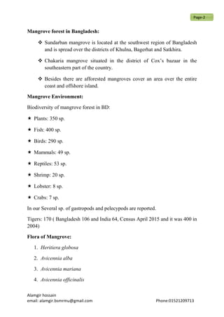 Mangrove forest in Bangladesh:
 Sundarban mangrove is located at the southwest region of Bangladesh
and is spread over the districts of Khulna, Bagerhat and Satkhira.
 Chakaria mangrove situated in the district of Cox’s bazaar in the
southeastern part of the country.
 Besides there are afforested mangroves cover an area over the entire
coast and offshore island.
Mangrove Environment:
Biodiversity of mangrove forest in BD:
 Plants: 350 sp.
 Fish: 400 sp.
 Birds: 290 sp.
 Mammals: 49 sp.
 Reptiles: 53 sp.
 Shrimp: 20 sp.
 Lobster: 8 sp.
 Crabs: 7 sp.
In our Several sp. of gastropods and pelecypods are reported.
Tigers: 170 ( Bangladesh 106 and India 64, Census April 2015 and it was 400 in
2004)
Flora of Mangrove:
1. Heritiera globosa
2. Avicennia alba
3. Avicennia mariana
4. Avicennia officinalis
Alamgir hossain
email: alamgir.bsmrmu@gmail.com Phone:01521209713
Page-2
 