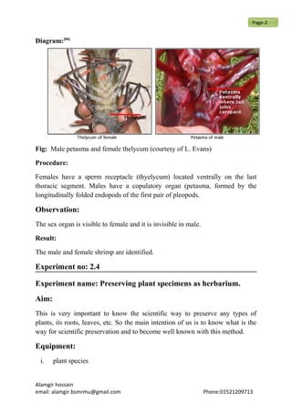 Diagram:[06]
Fig: Male petasma and female thelycum (courtesy of L. Evans)
Procedure:
Females have a sperm receptacle (thyelycum) located ventrally on the last
thoracic segment. Males have a copulatory organ (petasma, formed by the
longitudinally folded endopods of the first pair of pleopods.
Observation:
The sex organ is visible to female and it is invisible in male.
Result:
The male and female shrimp are identified.
Experiment no: 2.4
Experiment name: Preserving plant specimens as herbarium.
Aim:
This is very important to know the scientific way to preserve any types of
plants, its roots, leaves, etc. So the main intention of us is to know what is the
way for scientific preservation and to become well known with this method.
Equipment:
i. plant species
Alamgir hossain
email: alamgir.bsmrmu@gmail.com Phone:01521209713
Page-2
 