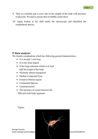 9. Then we carefully put a cover slip on the sample of the slide with presence
of glycerin. We had to ensure that no bubble create there.
10. Again looked at the slide under the microscope and identified the
zooplankton species.
 Data analysis:
We found a zooplankton which has following general characteristics-
• It is around 1 mm long
• It is tear drop shaped
• It has large antennae which is at least
half the length of the body
• Normally almost transparent
• Median Compound Eyes
• Found in Marine region
• Continental Species
• Limnoterrestrial
• The presence of a joint between the
fifth and sixth body segments
Figure:
Alamgir hossain
email: alamgir.bsmrmu@gmail.com Phone:01521209713
Page-2
 