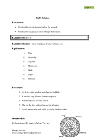 Fig41: Gelidium
Precaution:
• We should not waste too much algae for research.
• We should wear gloves while working with formalin.
Experiment no: 4.2
Experiment name: Study of cellular structure of sea weed
Equipments:
i. Slide
ii. Cover slip
iii. Glycerin
iv. Microscope
v. Blade
vi. Algae
vii. Safranin
Procedure:
1. At first we take an algae and slice it with blade.
2. It must be very thin and almost transparent.
3. We should color it with Safranin.
4. The put the slice on the slide and put glycerin.
5. Attach a cover slip on it and it get ready for observation.
Observation:
We have observed 4 species of algae. They are:
Alamgir hossain
email: alamgir.bsmrmu@gmail.com Phone:01521209713
Page-2
 