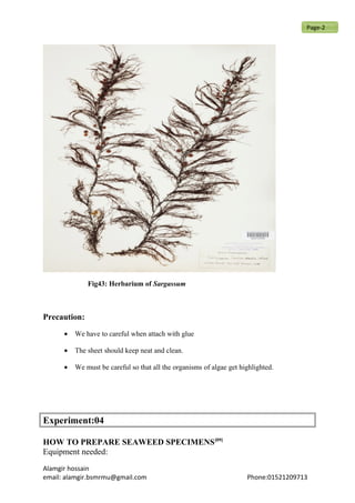 Fig43: Herbarium of Sargassum
Precaution:
• We have to careful when attach with glue
• The sheet should keep neat and clean.
• We must be careful so that all the organisms of algae get highlighted.
Experiment:04
HOW TO PREPARE SEAWEED SPECIMENS[09]
Equipment needed:
Alamgir hossain
email: alamgir.bsmrmu@gmail.com Phone:01521209713
Page-2
 
