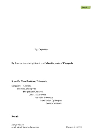 Fig: Copepoda
By this experiment we git that it is a Calanoida, order of Copepoda.
Scientific Classification of Calanoida:
Kingdom: Animalia
Phylum: Arthropoda
Sub phylum:Crustacea
Class:Maxillopoda
Sub class: Copepoda
Super order: Gymnoplea
Order: Calanoida
Result:
Alamgir hossain
email: alamgir.bsmrmu@gmail.com Phone:01521209713
Page-2
 