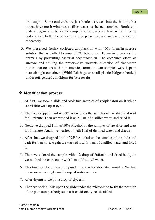 Sample lab reports image