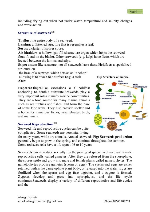 Lab report example chemistry pdf picture