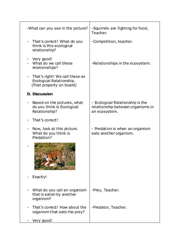 35 Ecology Worksheet High School - combining like terms worksheet