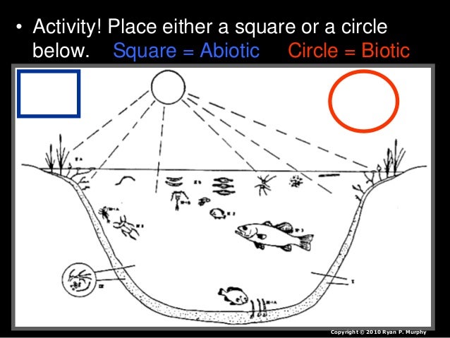 Biotic And Abiotic Factors In An Ecosystem Worksheet Nidecmege