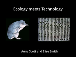 Ecology meets Technology
Anne Scott and Elise Smith
 