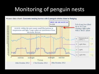 Monitoring of penguin nests
