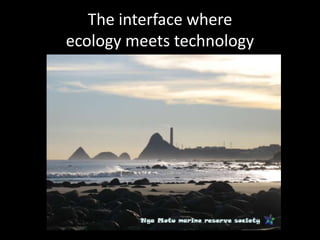 The interface where
ecology meets technology