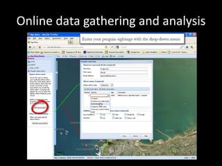 Online data gathering and analysis