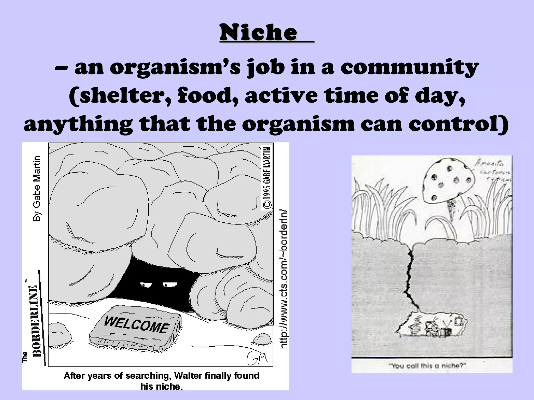 NicheNiche
– an organism’s job in a community
(shelter, food, active time of day,
anything that the organism can control)
 