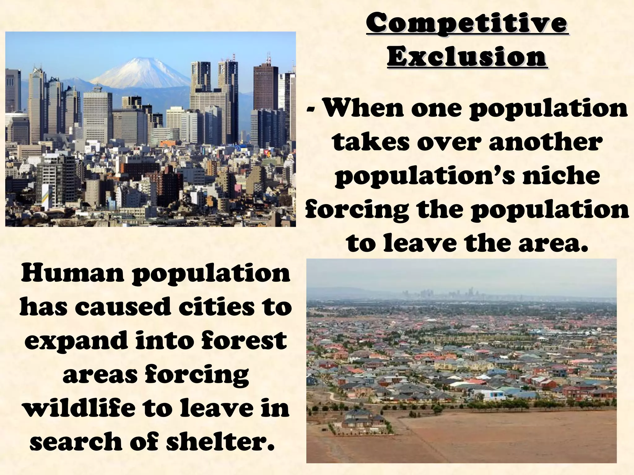 CompetitiveCompetitive
ExclusionExclusion
- When one population
takes over another
population’s niche
forcing the population
to leave the area.
Human population
has caused cities to
expand into forest
areas forcing
wildlife to leave in
search of shelter.
 