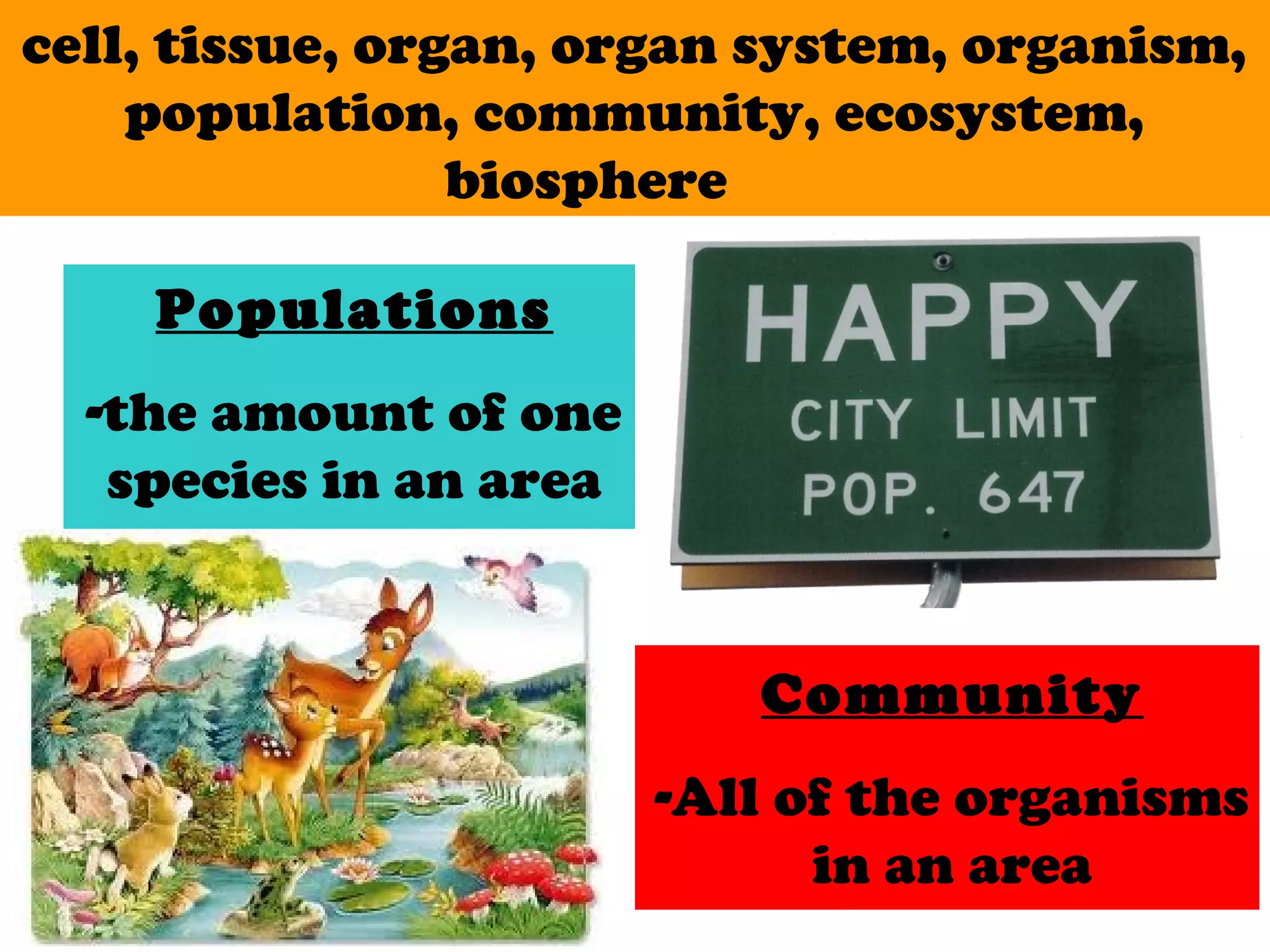 Populations
-the amount of one
species in an area
cell, tissue, organ, organ system, organism,
population, community, ecosystem,
biosphere
Community
-All of the organisms
in an area
 