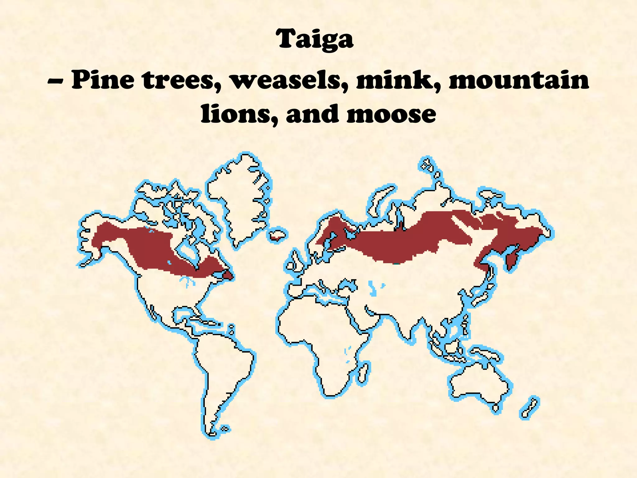 Taiga
– Pine trees, weasels, mink, mountain
lions, and moose
 