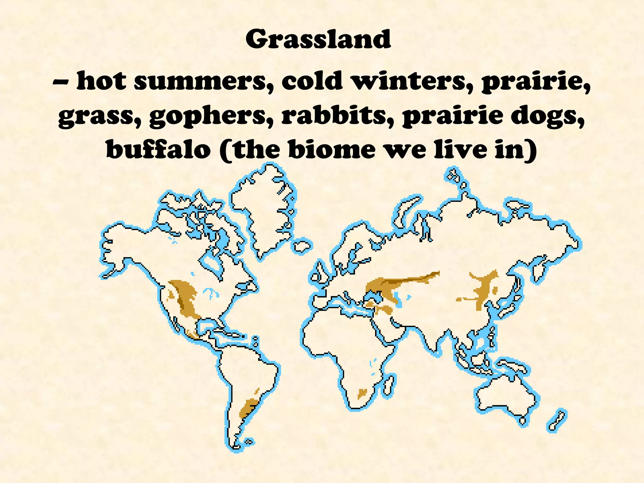 Grassland
– hot summers, cold winters, prairie,
grass, gophers, rabbits, prairie dogs,
buffalo (the biome we live in)
 