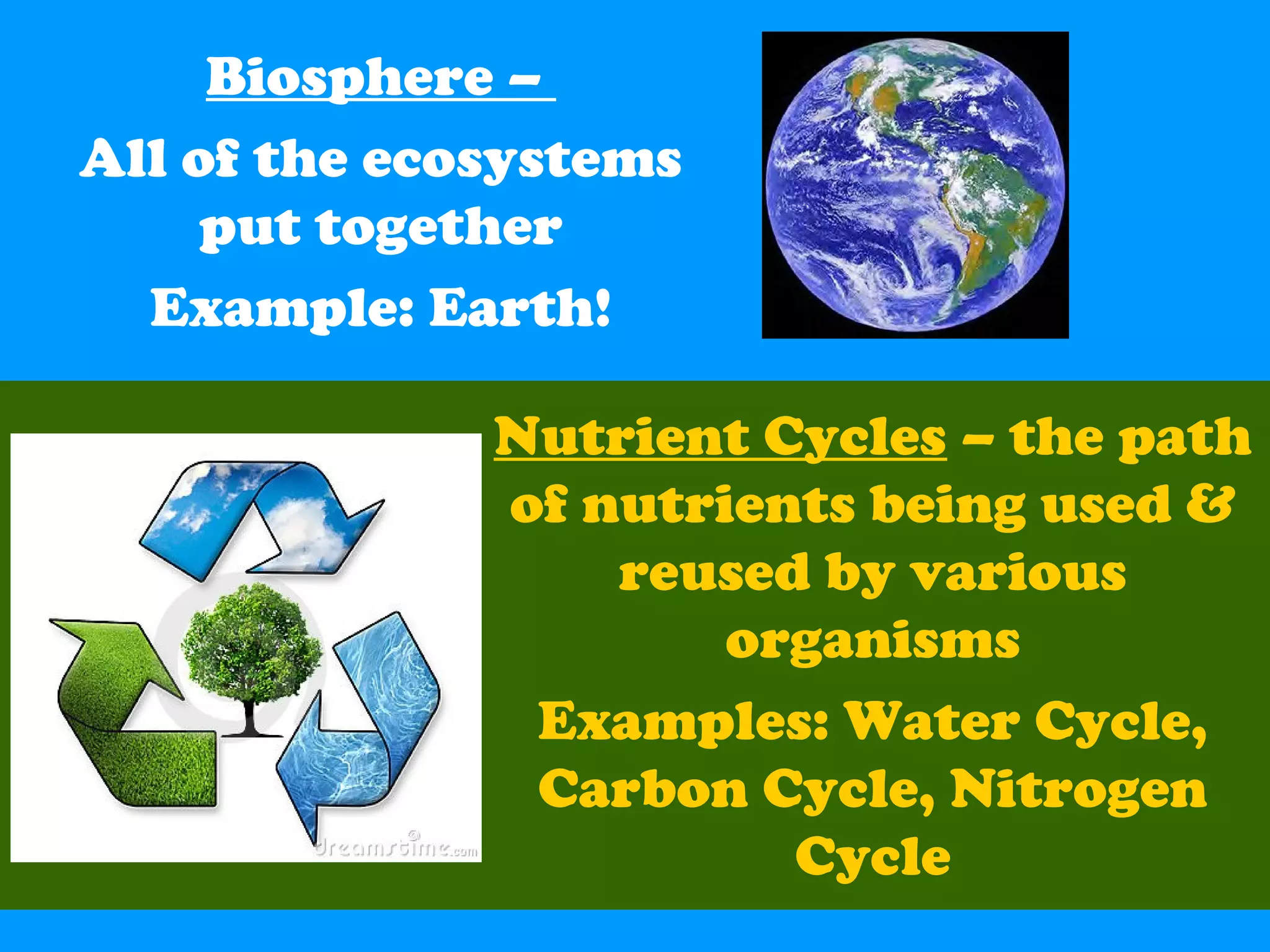 Biosphere –
All of the ecosystems
put together
Example: Earth!
Nutrient Cycles – the path
of nutrients being used &
reused by various
organisms
Examples: Water Cycle,
Carbon Cycle, Nitrogen
Cycle
 