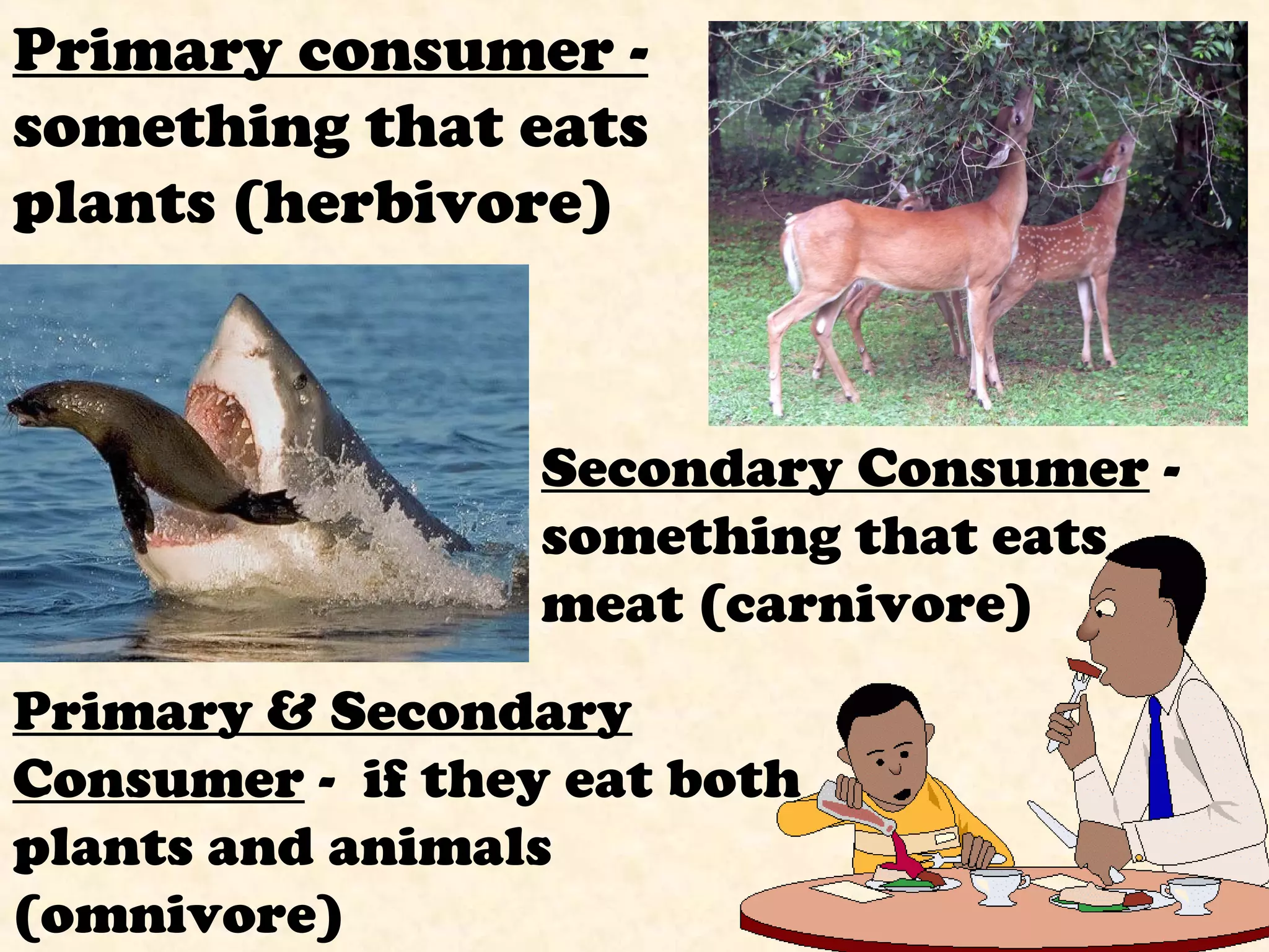 Secondary Consumer -
something that eats
meat (carnivore)
Primary consumer -
something that eats
plants (herbivore)
Primary & Secondary
Consumer - if they eat both
plants and animals
(omnivore)
 