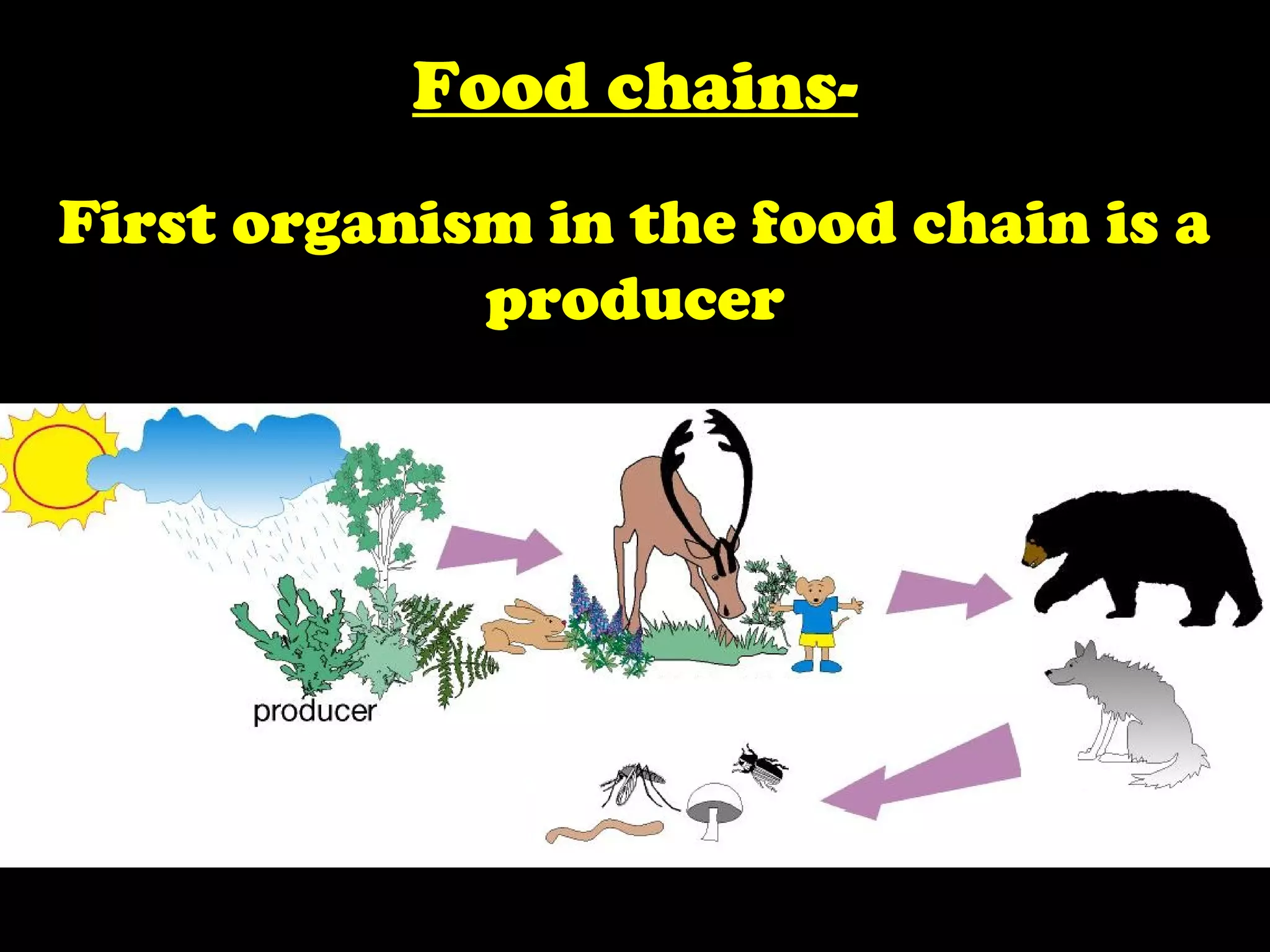 Food chains-
First organism in the food chain is a
producer
 