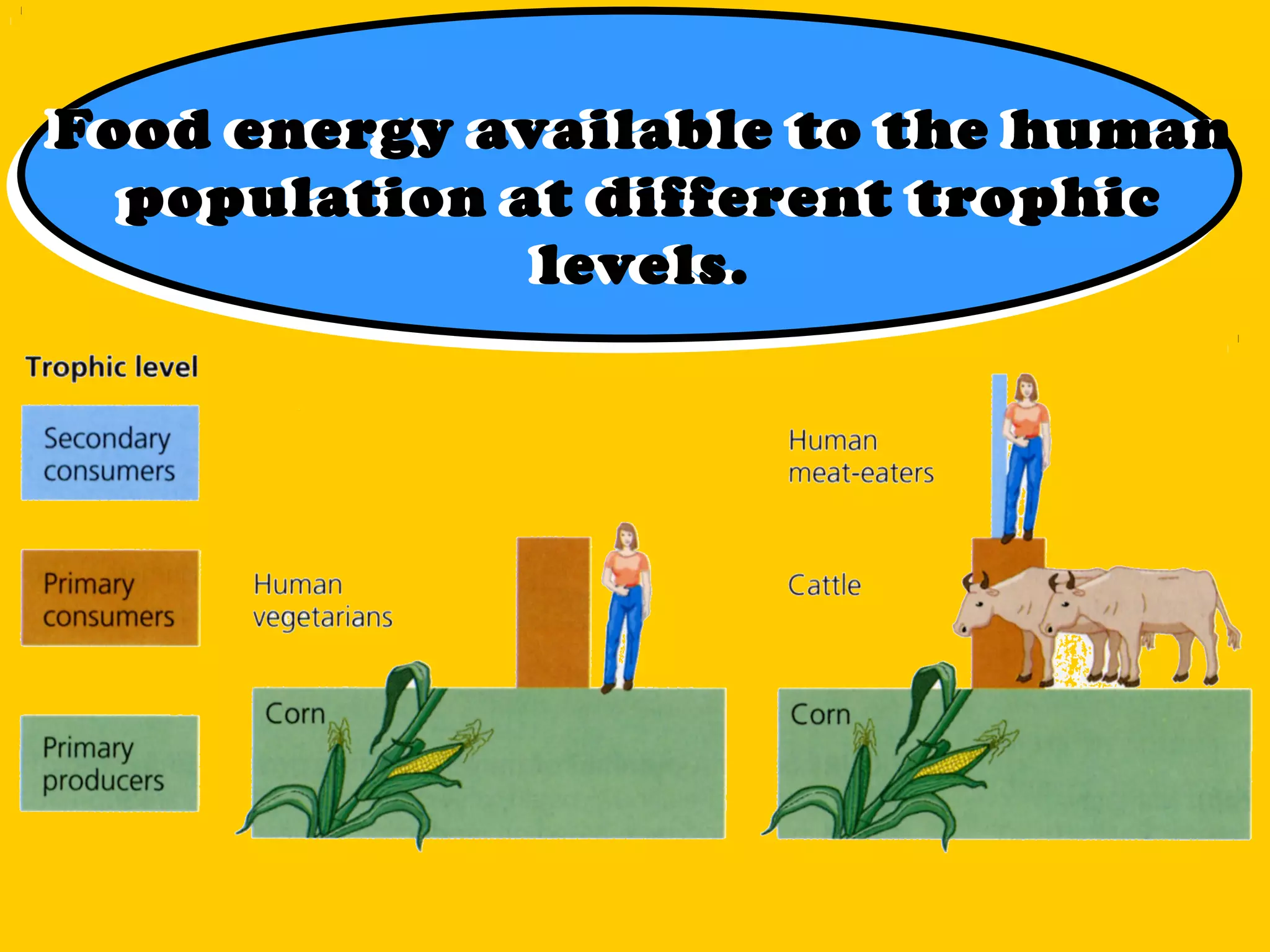 Food energy available to the human
population at different trophic
levels.
Food energy available to the human
population at different trophic
levels.
 