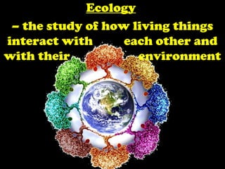 EcologyEcology
– the study of how living things
interact with each other and
with their environment
 