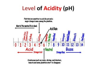 Level of Acidity (pH)
 