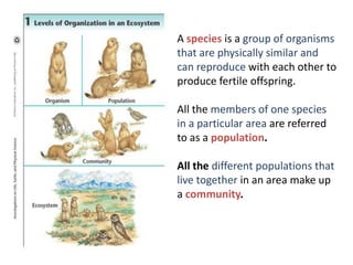 A species is a group of organisms
that are physically similar and
can reproduce with each other to
produce fertile offspring.

All the members of one species
in a particular area are referred
to as a population.

All the different populations that
live together in an area make up
a community.
 