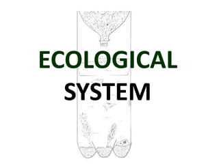 ECOLOGICAL
  SYSTEM
 