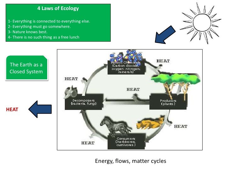Nature Knows Best Laws Of Ecology Nature Knows Best Laws Of Ecology